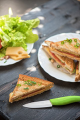 Cheese sandwich
