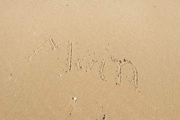 Moin am Nordseestrand