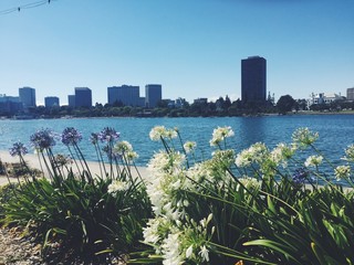 lake merritt, oakland california