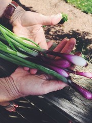 hands and scallion