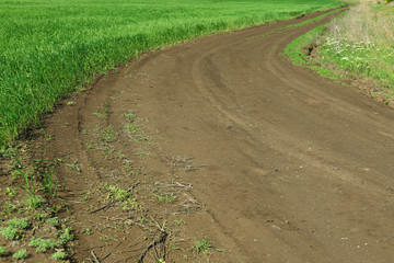 Rolled country road in field
