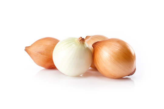 Fresh  onion  isolated on white background