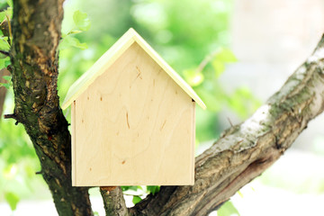 House on tree, close up