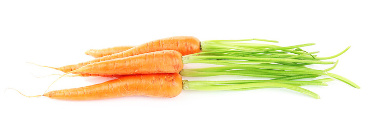 Fresh carrots isolated on white