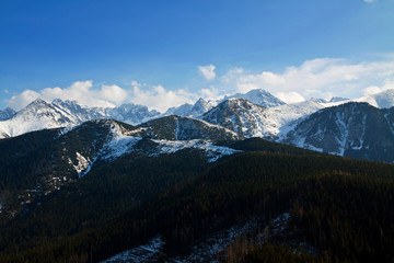 Fototapeta na wymiar Mountain snowy landscape with forest