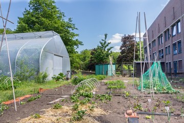 Citygarden with vegetables in plant beds and a greeenhouse