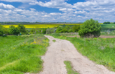 Country landscape in central Ukraine at spring season