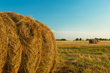 Hay bale in the countryside