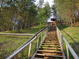 Деревянная лестница в парке