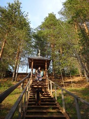 Fototapeta na wymiar Деревянная лесенка в лесу
