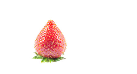 Strawberry isolate