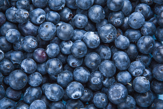 fresh  blueberries