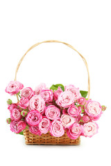 Fototapeta na wymiar beautiful pink roses in basket on white background