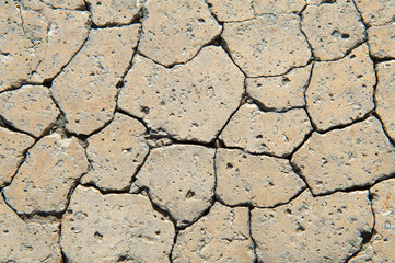  texture