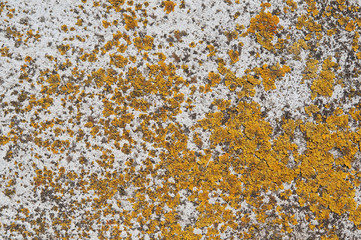 Beton in Architektur