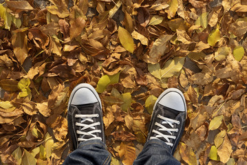 Sneakers and yellow leaves