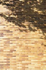 Bricks wall with tree shadow