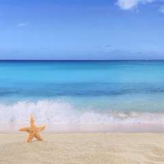 Fototapeta na wymiar Strand Hintergrund im Sommer, Urlaub mit Seestern, Meer und Text