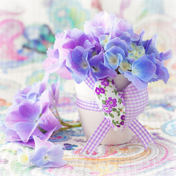 hydrangea flowers in a pot 