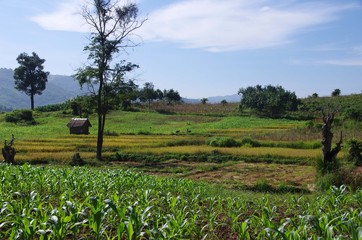 Obraz premium Paysage au Laos