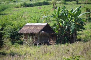 Maison traditionnelle au Laos