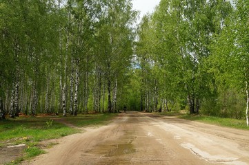 грунтовая дорога