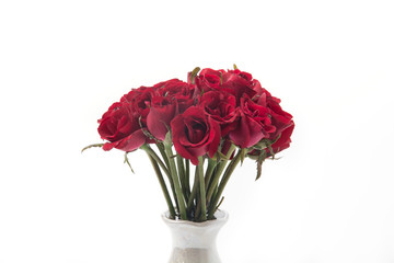 red rose