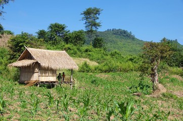Plakat Maison traditionnelle au Laos