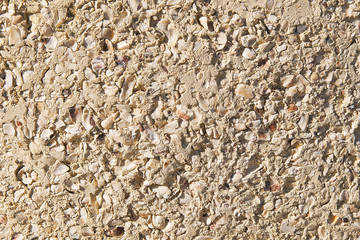 Modern wall with sea shells background