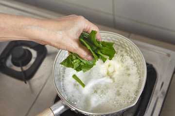 Adding vegetable