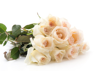 white rose