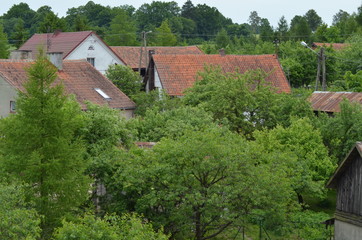 Fototapeta na wymiar dachy domów na Polskiej wsi 