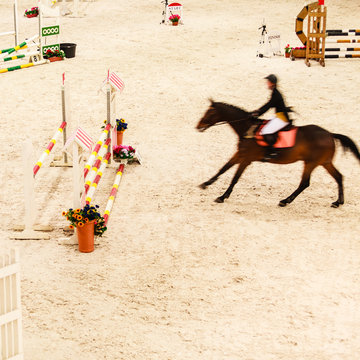 Equitation. show jumping, horse and rider over jump