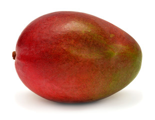Mango fruit