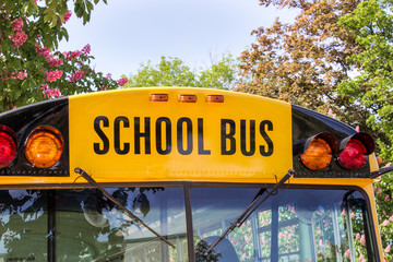 Schulbus