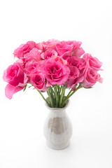 pink rose