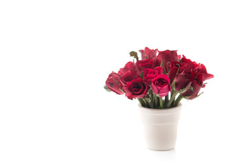 red rose