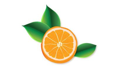 Slice orange with leaf vector design