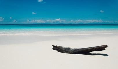 blue sky with beach sea and log - soft focus with film filter