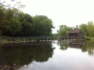 Obraz premium House with bridge in the lake
