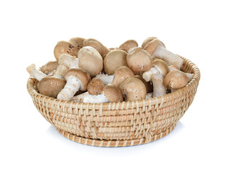 shiitake in the Basket