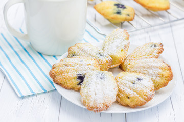 Sugar powdered madeleines with blueberries