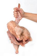 fresh chicken in hand