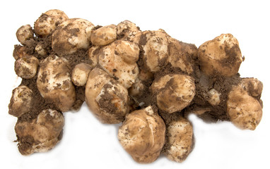 Jerusalem artichoke on a white background