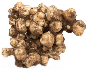 Jerusalem artichoke on a white background
