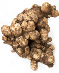 Jerusalem artichoke on a white background