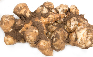 Jerusalem artichoke on a white background