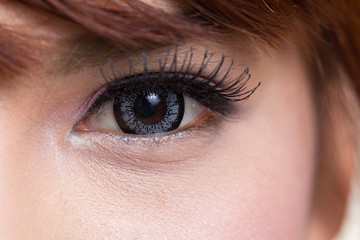 Close-up woman eye