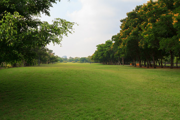 City park