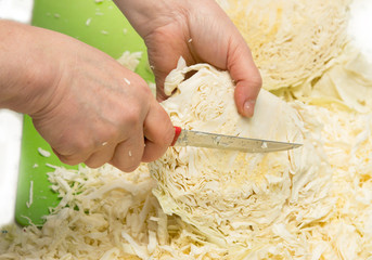 cabbage incised with a knife